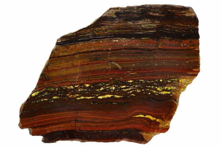 Polished Tiger Iron Stromatolite - Billion Years #129265